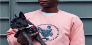 logo embroidered Sweatshirts