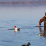 Four of the Best Hunting Decoy Strategies strategies