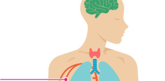 Circulatory System Diseases and Their Early signs and symptoms