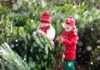 How Buy Best Christmas Trees for Kids