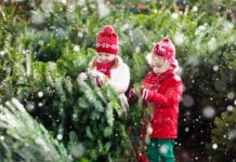How Buy Best Christmas Trees for Kids