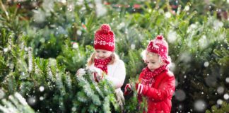 How Buy Best Christmas Trees for Kids