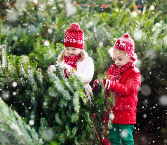 How Buy Best Christmas Trees for Kids