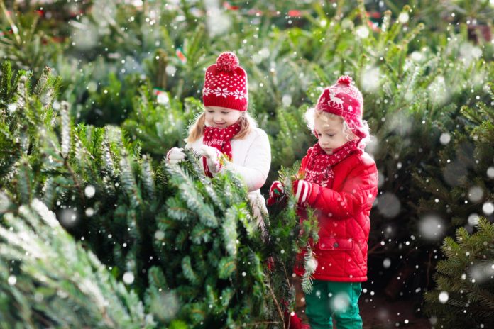 How Buy Best Christmas Trees for Kids