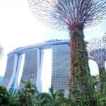 Visualizing Singapore as the Next Best Destination – Out of the Box Holiday