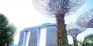 Visualizing Singapore as the Next Best Destination – Out of the Box Holiday