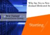 Why Say Yes to New Zealand Dedicated Server