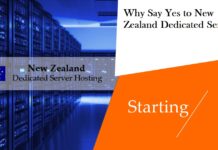 Why Say Yes to New Zealand Dedicated Server