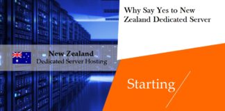 Why Say Yes to New Zealand Dedicated Server