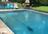 Baracuda G3 and Kreepy Krauly: chose the best one for your pool pool cleaner