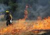 What you should know about Wildfire App What you should know about Wildfire App