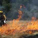 What you should know about Wildfire App