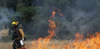 What you should know about Wildfire App