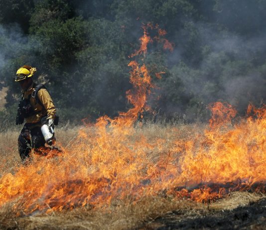 What you should know about Wildfire App What you should know about Wildfire App