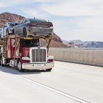 Effect on local transporter due to corona Local transporters