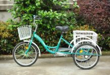 Adult Tricycle
