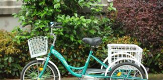 Adult Tricycle