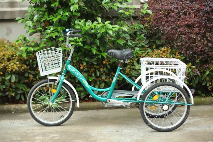 Adult Tricycle