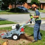 What Happens When You Leave the Stump Behind and Ignore Stump Grinding Service? Stump Grinding Service