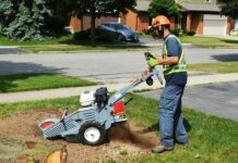 What Happens When You Leave the Stump Behind and Ignore Stump Grinding Service? Stump Grinding Service