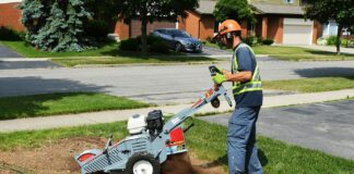 Stump Grinding Service