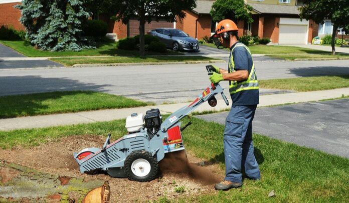 Stump Grinding Service