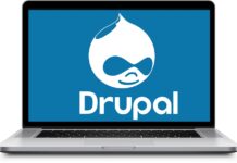Drupal development services
