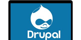 Drupal development services