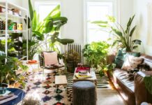 Plants in the Home