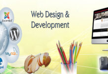 Website design development