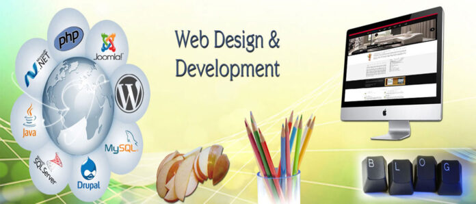 Website design development