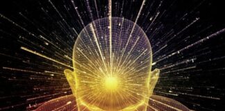 Are we a Nootropic generation? Let’s figure it out