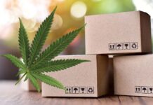 printed CBD boxes