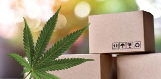 printed CBD boxes