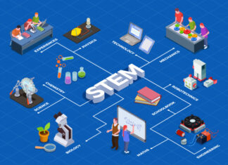 6 Must-Have STEM Teaching Products 6 Must-Have STEM Teaching Products