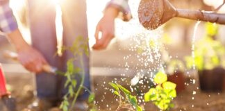 Gestational Surrogacy