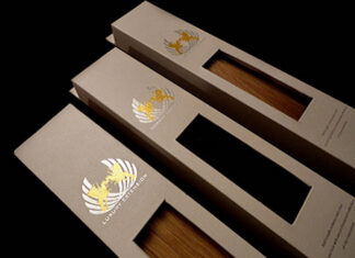 How You Can Immediately Start Your Hair Extension Boxes Business at The Private Level? Hair Extension Boxes Business