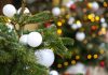 How to Dispose of Your Christmas Tree? Christmas Tree