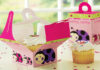 Cupcake Boxes