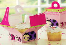 Cupcake Boxes