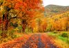 Best 5 New England In Fall Foliage