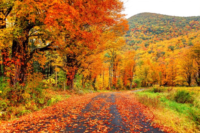 Best 5 New England In Fall Foliage