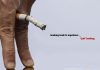 How Erectile Dysfunction Caused by Smoking? Cure and treatment Erectile Dysfunction Caused by Smoking