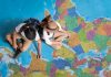 What’s Yours Best 5 Dream Trips The World Over? What's Yours Best 5 Dream Trips The World Over