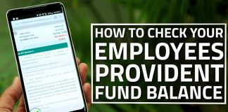 Provident Fund Balance Instantly