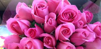 send flowers to India