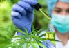 6 Tips for CBD Packaging and Make a New Start! CBD packaging boxes