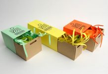 Mascara Packaging Boxes