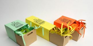 Mascara Packaging Boxes