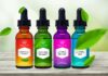 Want A Thriving Business? Focus On CBD Packaging CBD Packaging
